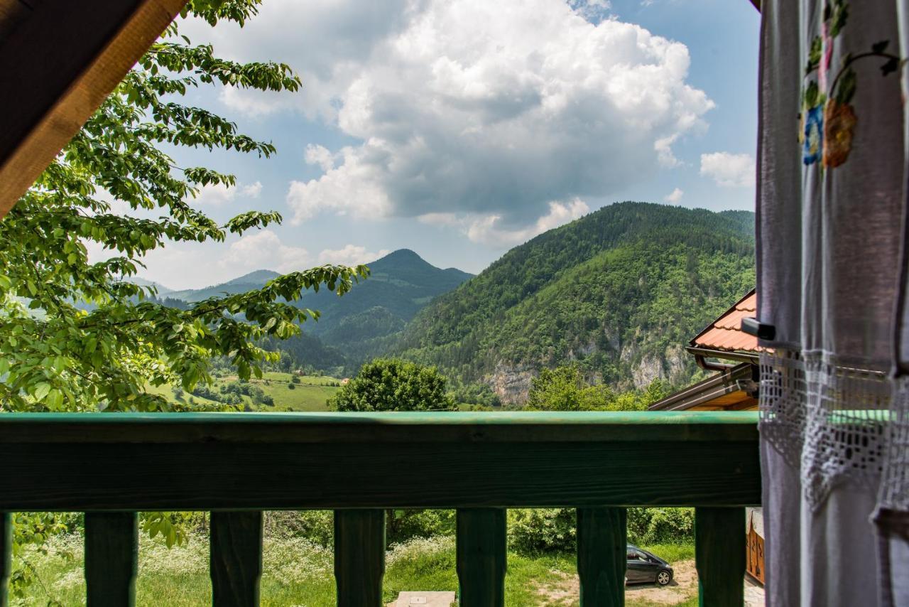 Drvene Kuce Suska - Wooden Houses Suska Zaovine Kültér fotó