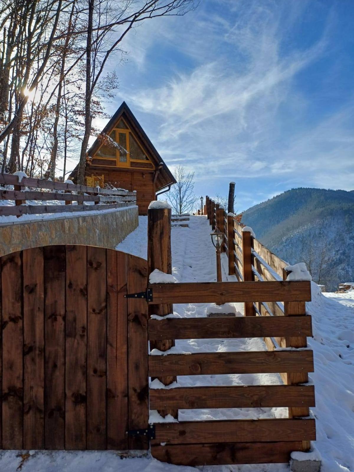 Drvene Kuce Suska - Wooden Houses Suska Zaovine Kültér fotó