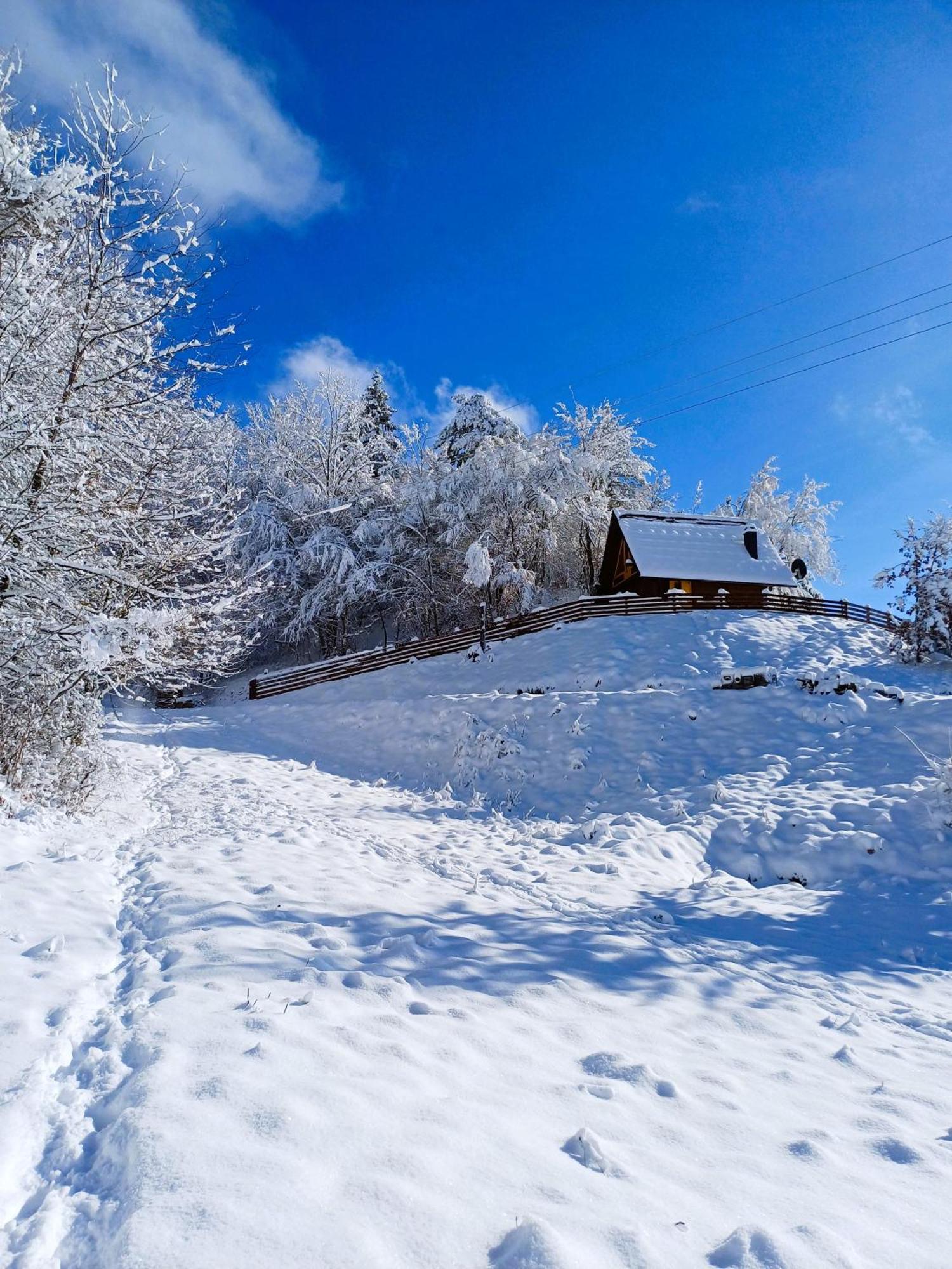 Drvene Kuce Suska - Wooden Houses Suska Zaovine Szoba fotó