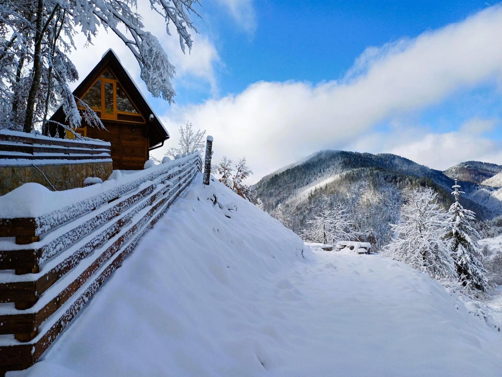 Drvene Kuce Suska - Wooden Houses Suska Zaovine Kültér fotó