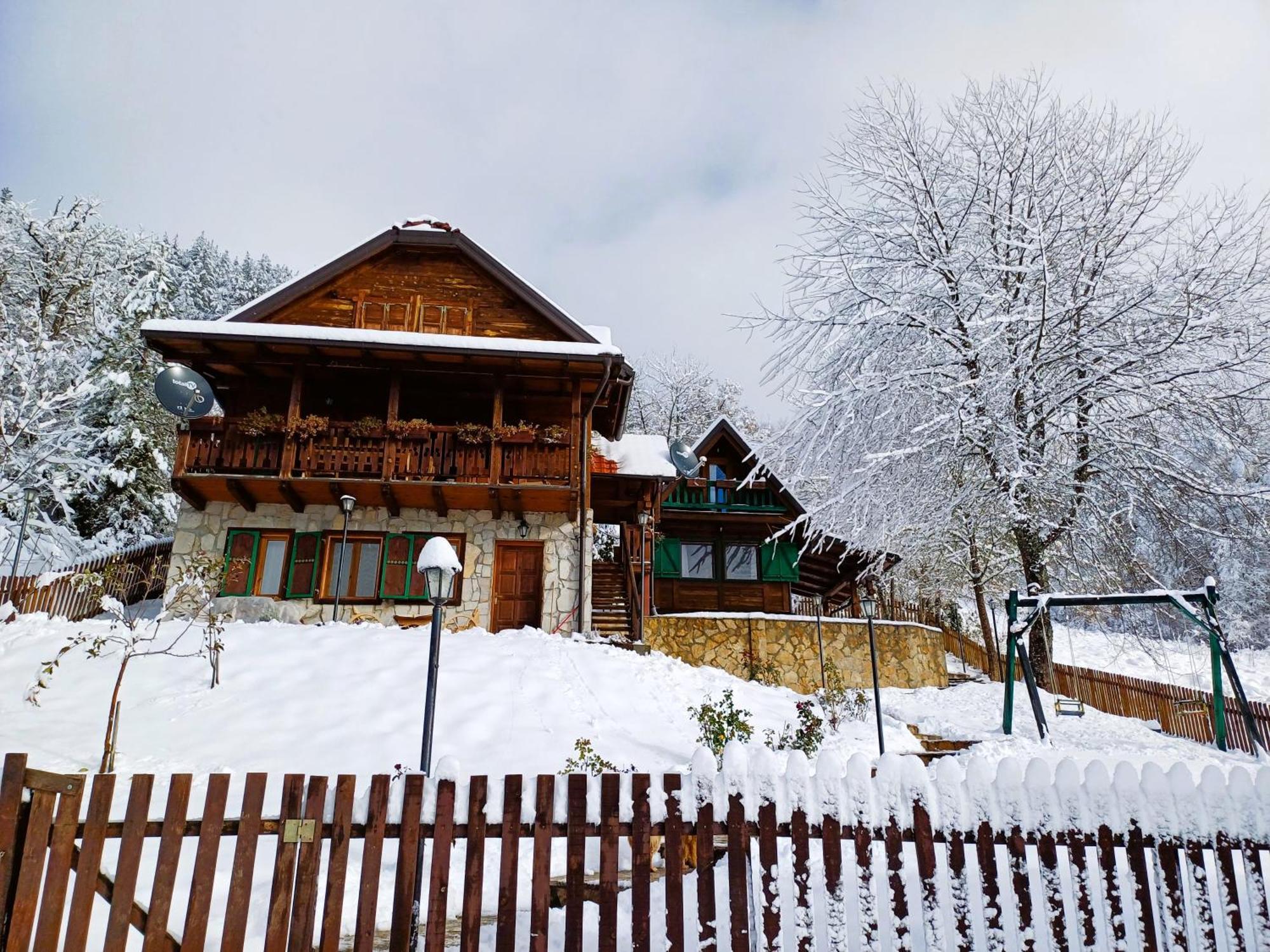 Drvene Kuce Suska - Wooden Houses Suska Zaovine Kültér fotó